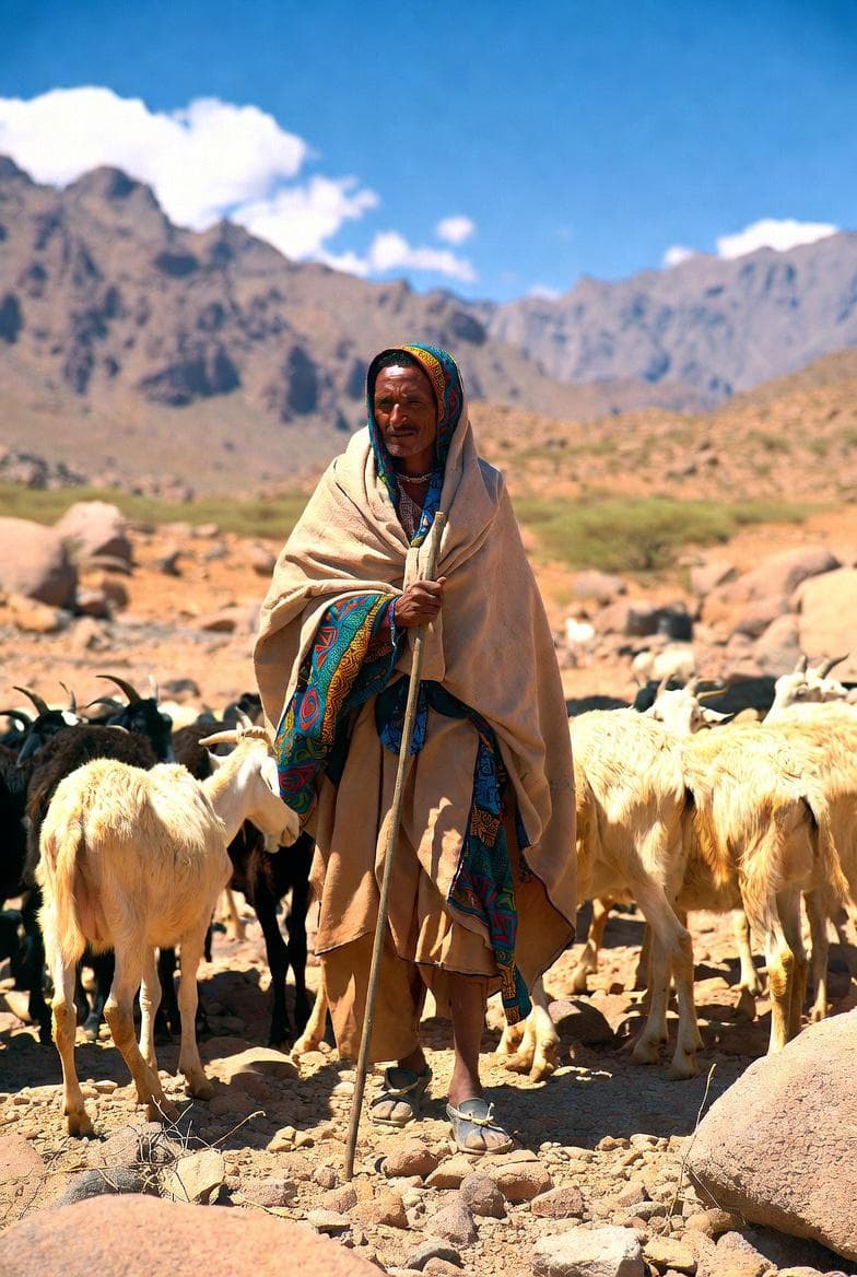 Familles d'Afrique de l'Est et habitants de Strasbourg réunis lors d'une rencontre de l'association
